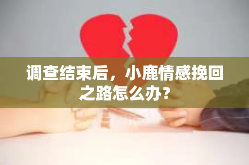 调查结束后，小鹿情感挽回之路怎么办？