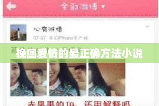 挽回爱情的最正确方法小说
