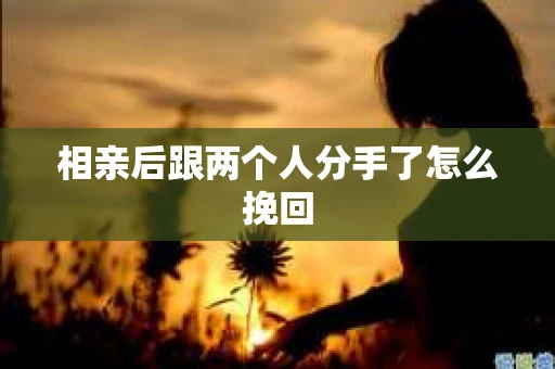 相亲后跟两个人分手了怎么挽回