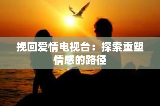 挽回爱情电视台：探索重塑情感的路径
