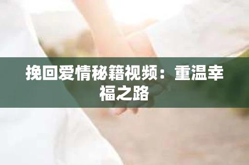 挽回爱情秘籍视频：重温幸福之路