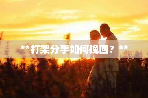 **打架分手如何挽回？**