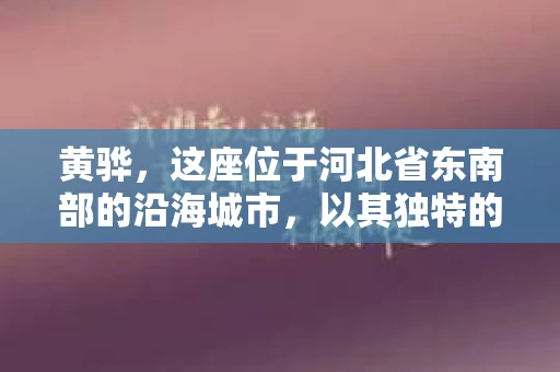 黄骅，这座位于河北省东南部的沿海城市，以其独特的地理位置和丰富的历史文化而闻名。然而，在这座城市中，还有一群人，他们以另一种方式默默守护着社会的公平与正义——私家侦探。今天，我们就来聊聊黄骅的私家侦探，看看他们是如何在这个城市中发挥作用的。