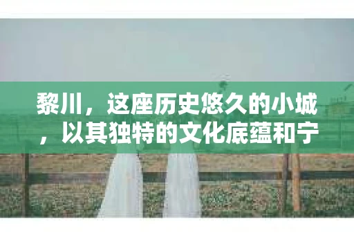 黎川，这座历史悠久的小城，以其独特的文化底蕴和宁静的生活节奏吸引着无数游客。然而，在这样一个看似平静的城市里，你是否会好奇，有没有私家侦探机构的存在呢？今天，就让我带你一探究竟。