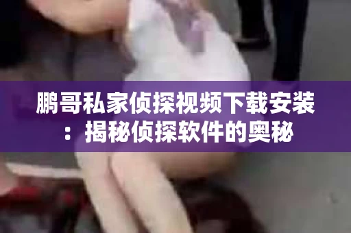 鹏哥私家侦探视频下载安装：揭秘侦探软件的奥秘