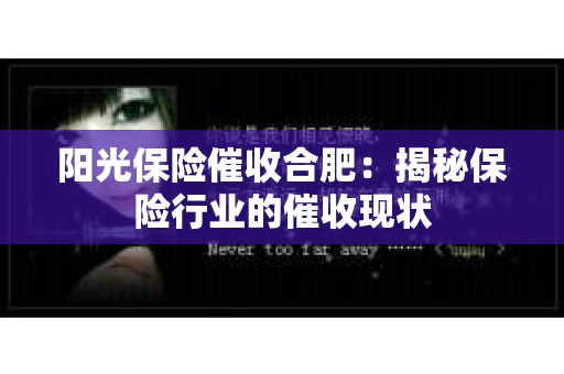 阳光保险催收合肥：揭秘保险行业的催收现状
