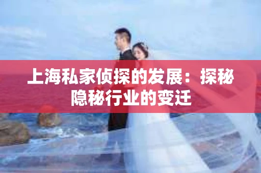 上海私家侦探的发展：探秘隐秘行业的变迁