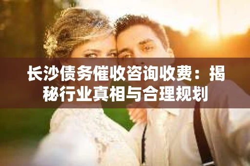 长沙债务催收咨询收费：揭秘行业真相与合理规划