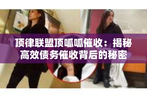 顶律联盟顶呱呱催收：揭秘高效债务催收背后的秘密