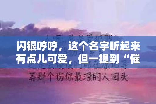 闪银哼哼，这个名字听起来有点儿可爱，但一提到“催收”，气氛就变得严肃起来。今天，我们就来聊聊这个话题，揭开“闪银哼哼催收”的神秘面纱。