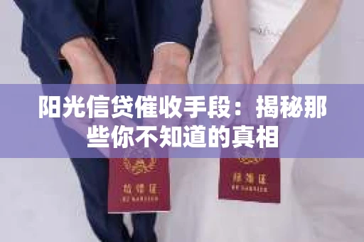 阳光信贷催收手段：揭秘那些你不知道的真相