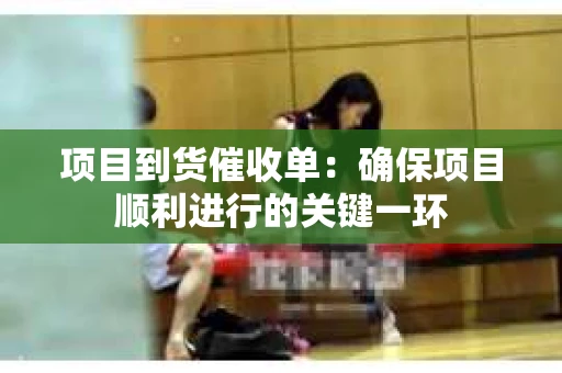 项目到货催收单：确保项目顺利进行的关键一环