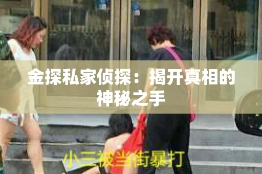 金探私家侦探：揭开真相的神秘之手