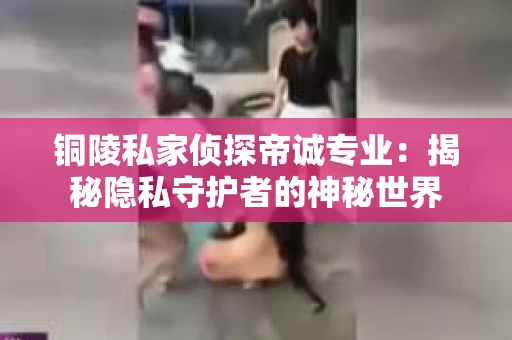 铜陵私家侦探帝诚专业：揭秘隐私守护者的神秘世界