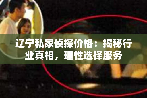 辽宁私家侦探价格：揭秘行业真相，理性选择服务
