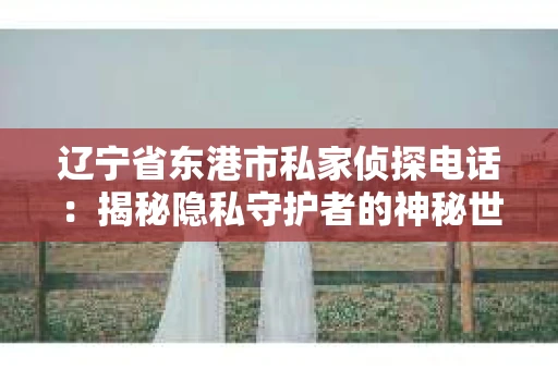 辽宁省东港市私家侦探电话：揭秘隐私守护者的神秘世界