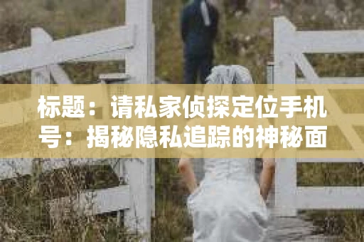 标题：请私家侦探定位手机号：揭秘隐私追踪的神秘面纱