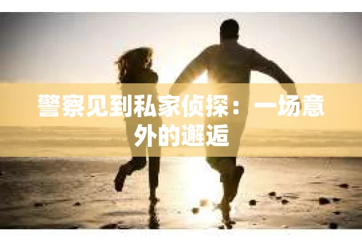 警察见到私家侦探：一场意外的邂逅