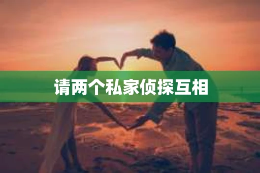 请两个私家侦探互相