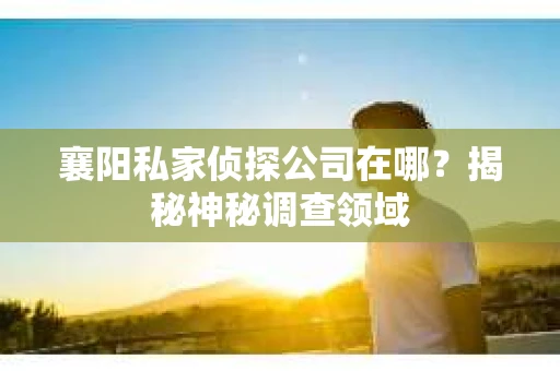 襄阳私家侦探公司在哪？揭秘神秘调查领域