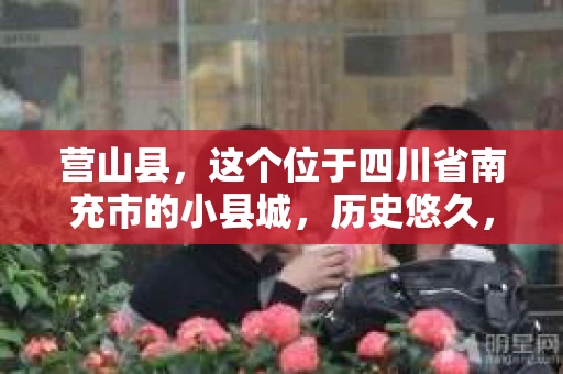 营山县，这个位于四川省南充市的小县城，历史悠久，风景秀丽。但在这个宁静的小县城里，你是否会好奇，有没有私家侦探的存在呢？今天，我就来和大家聊聊这个话题。