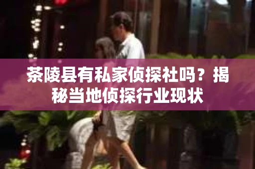茶陵县有私家侦探社吗？揭秘当地侦探行业现状