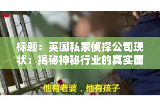 标题：英国私家侦探公司现状：揭秘神秘行业的真实面貌