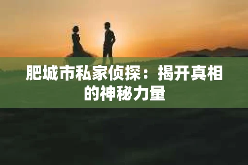 肥城市私家侦探：揭开真相的神秘力量