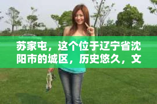 苏家屯，这个位于辽宁省沈阳市的城区，历史悠久，文化底蕴深厚。近年来，随着社会的发展，人们对于私家侦探的需求也逐渐增加。那么，苏家屯有私家侦探吗？今天，我们就来聊聊这个话题。