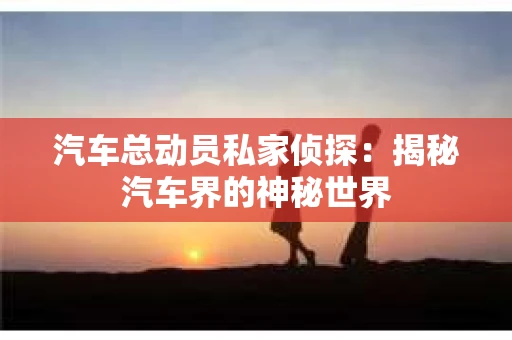汽车总动员私家侦探：揭秘汽车界的神秘世界