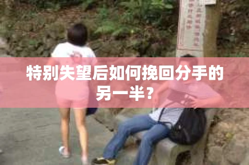 特别失望后如何挽回分手的另一半? 特别失望后如何挽回分手的另一半?