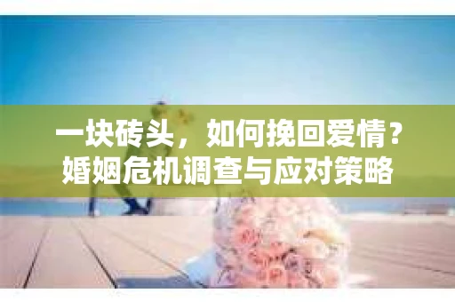 一块砖头，如何挽回爱情？婚姻危机调查与应对策略