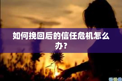 如何挽回后的信任危机怎么办? 如何挽回后的信任危机怎么办?