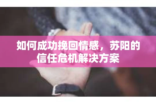 如何成功挽回情感，苏阳的信任危机解决方案