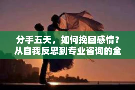 分手五天,如何挽回感情?从自我反思到专业咨询的全面解决方案 分手五天,如何挽回感情?从自我反思到专业咨询的全面解决方案