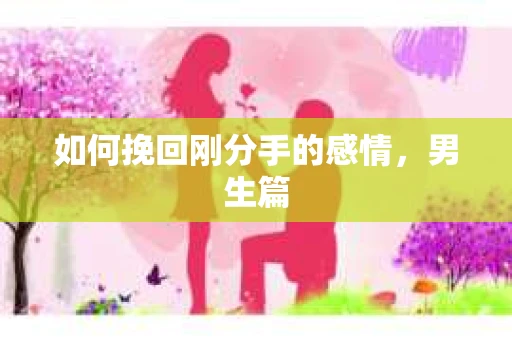 如何挽回刚分手的感情,男生篇 如何挽回刚分手的感情,男生篇