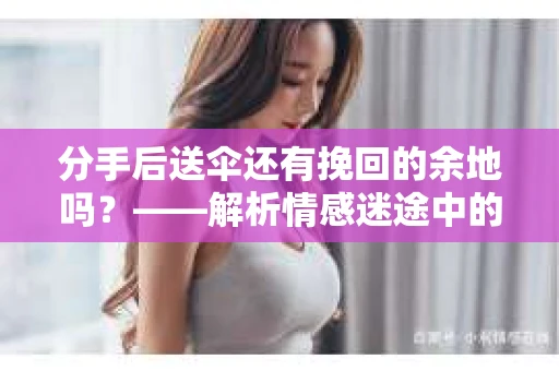 分手后送伞还有挽回的余地吗？——解析情感迷途中的决策