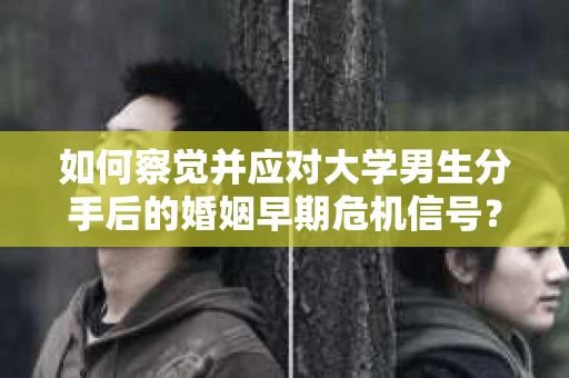 如何察觉并应对大学男生分手后的婚姻早期危机信号? 如何察觉并应对大学男生分手后的婚姻早期危机信号?