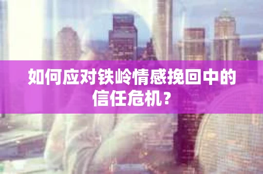 如何应对铁岭情感挽回中的信任危机？
