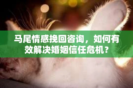 马尾情感挽回咨询，如何有效解决婚姻信任危机？